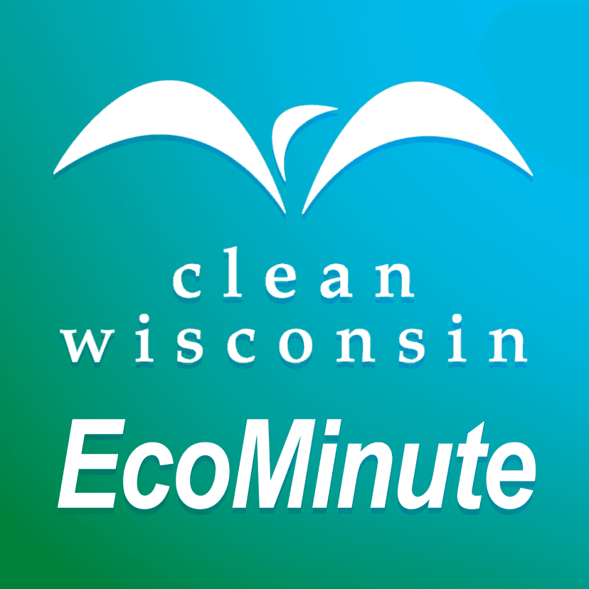 Eco-Minute