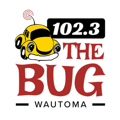 102.3 The Bug